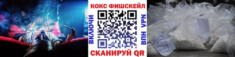 Купить где  Искитим  COCAIN Fish Scale 
