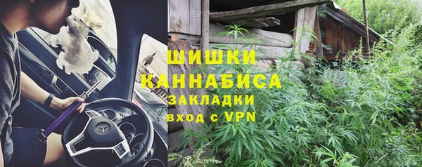 2c-b Краснослободск