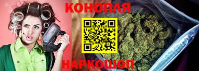 сатива Кудымкар