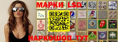 гашик Кудрово
