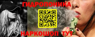 a pvp Кохма