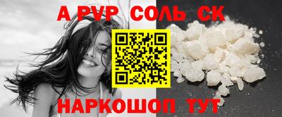 гашик Кудрово