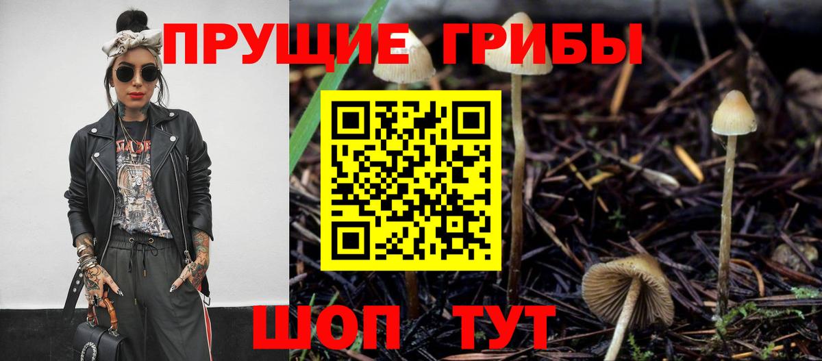Искитим  Псилоцибиновые грибы ЛСД  Галлюциногенные грибы MAGIC MUSHROOMS  Вход с VPN 