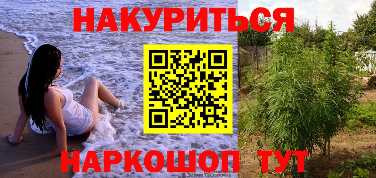 Бошки марихуана планчик  Бошки Шишки Amnesia  Искитим  Марихуана семена  Бошки марихуана сатива 